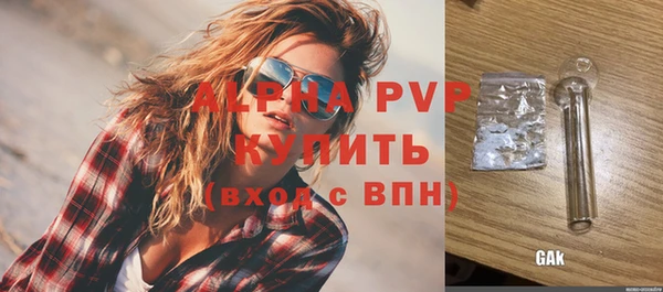 гашик Коряжма