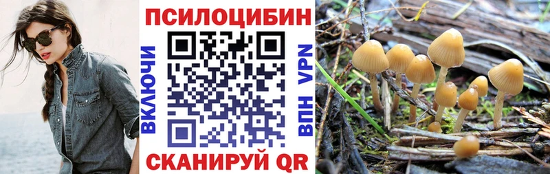 Псилоцибиновые грибы Cubensis Губкин