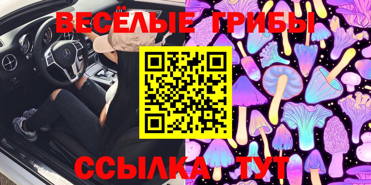 Губкин  Галлюциногенные грибы прущие грибы  Вход с VPN 