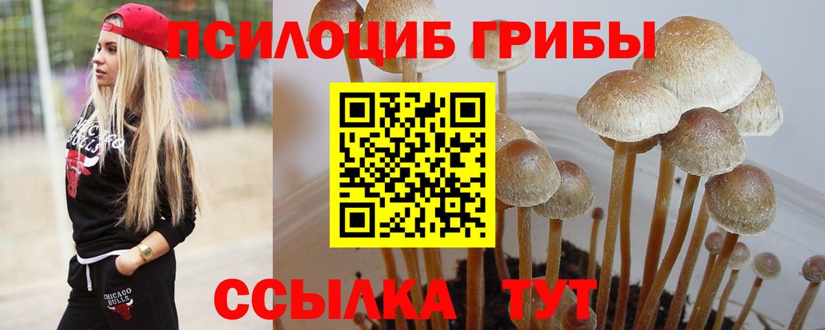 Галлюциногенные грибы ЛСД Губкин